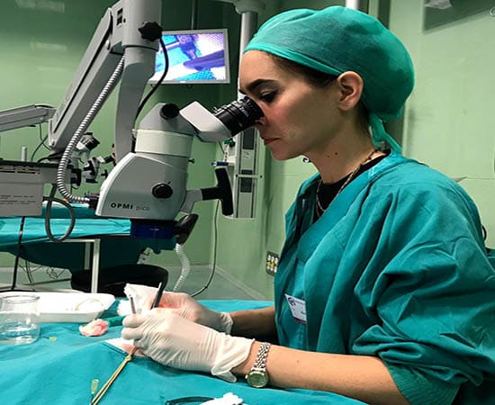 Базовые навыки в микрохирургии