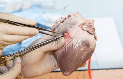 Базовые навыки в открытой хирургии