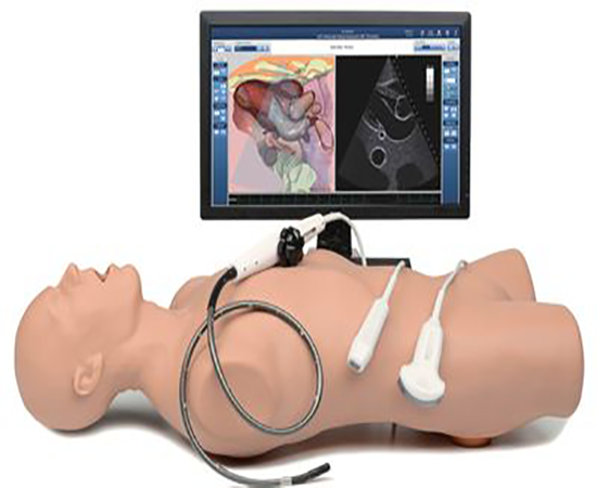 Подготовка к аккредитации по УЗИ в аккредитационно-симуляционном центре